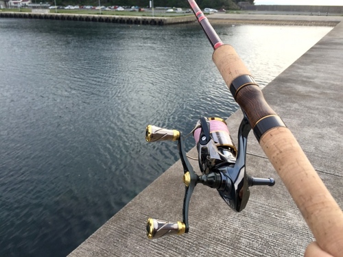 ワールドシャウラ 2752R-5 インプレ - BLOG HARLEY