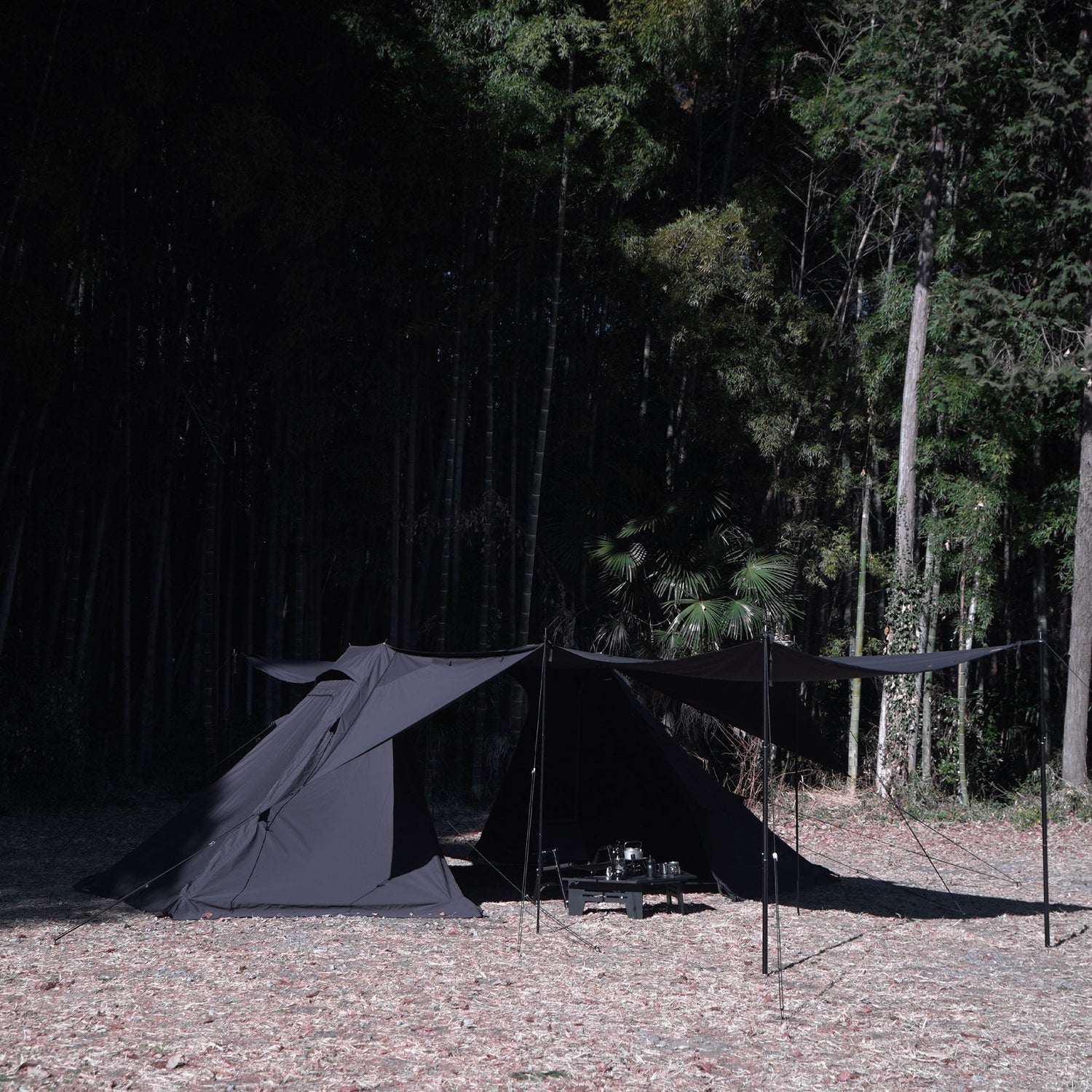 v2-04_1500x.jpg?v=1675491286