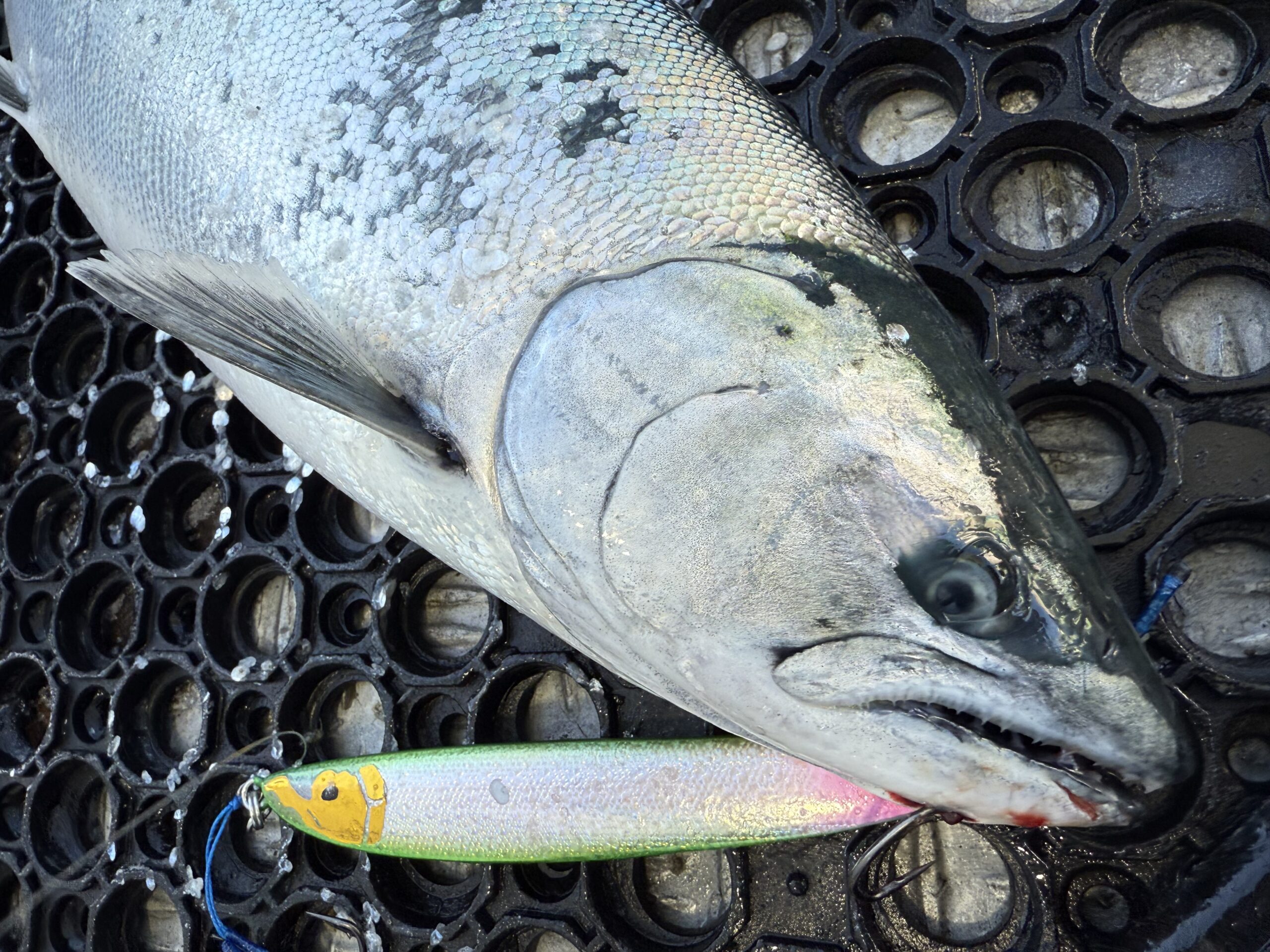 SOULS】Performance Studio16OCEAN'S ”PS-083L10S LEVEL10”入荷