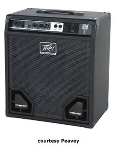 PEAVEY MAX 160 HEAD for sale - Price and Used Value