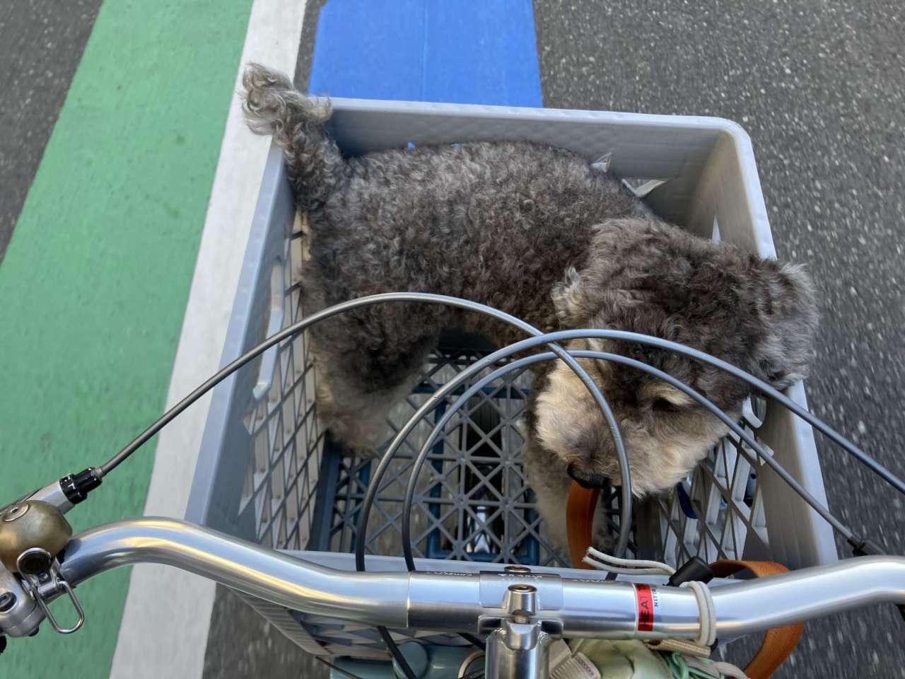 NITTO* rivendell RBW-32 wavie bar - BLUE LUG ONLINE STORE