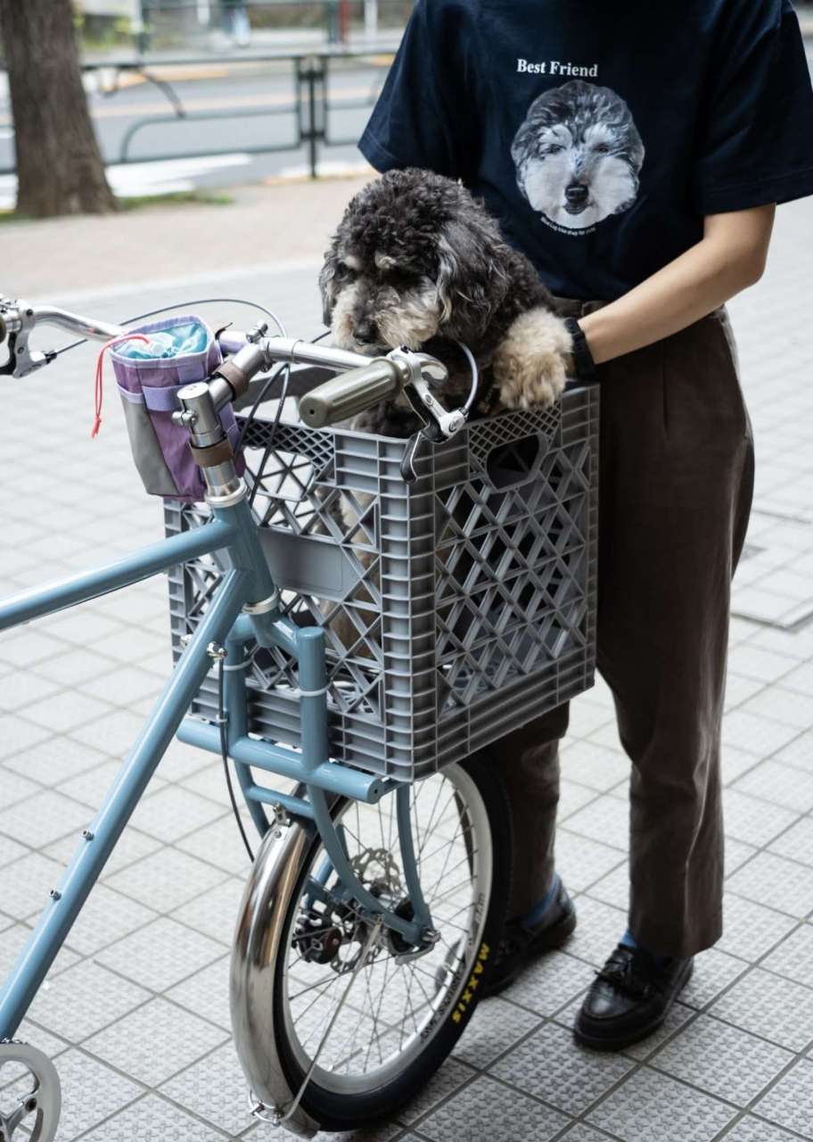 NITTO* rivendell RBW-32 wavie bar - BLUE LUG ONLINE STORE