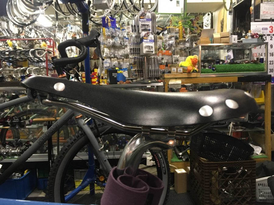 SELLE ANATOMICA* X2 leather saddle (tool) - BLUE LUG ONLINE STORE