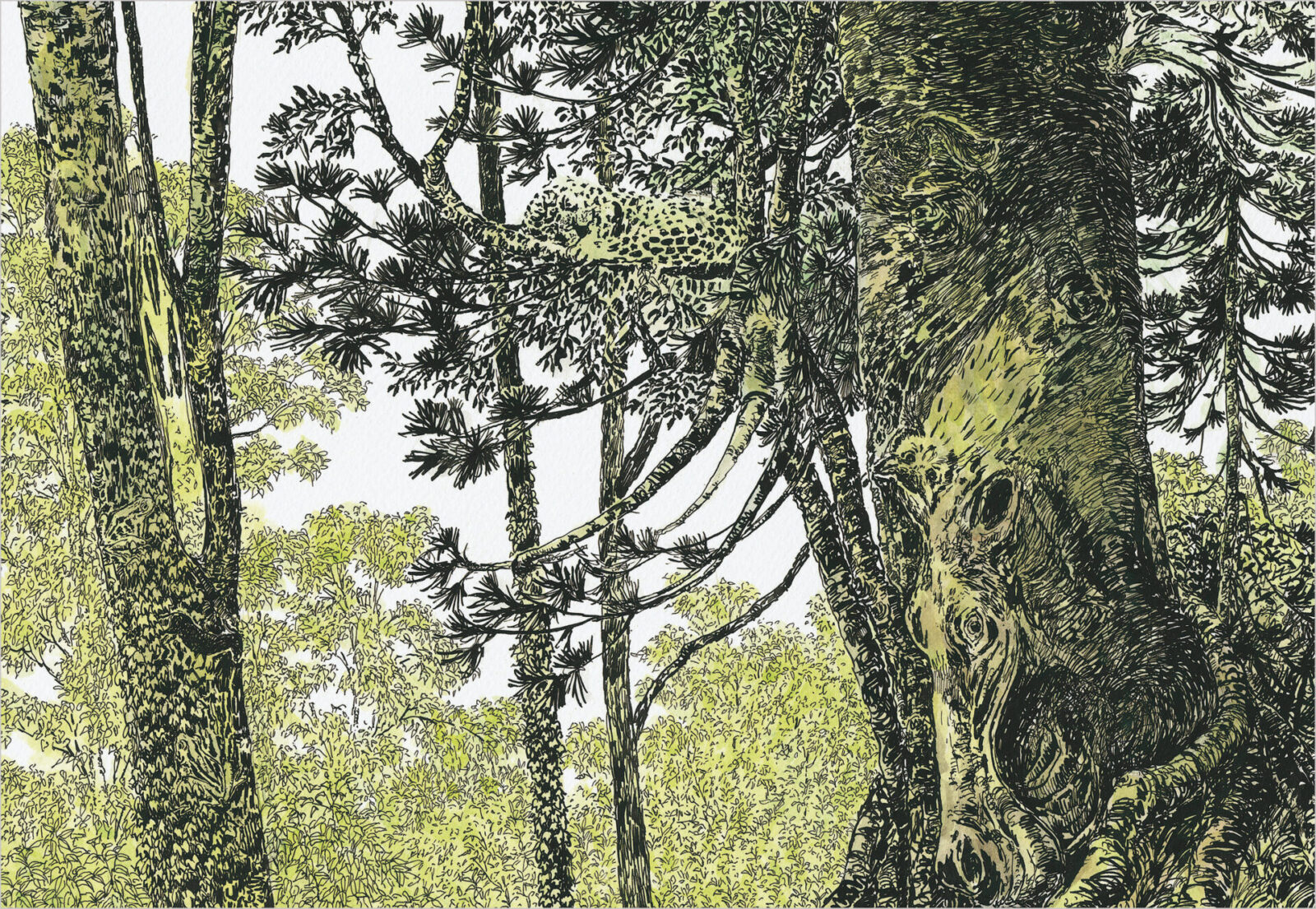 会場限定発売！『生誕100周年記念 安野光雅展』公式図録 2026年3月4日