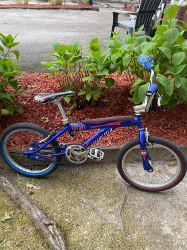 BMXmuseum.com For Sale / 1999 Specialized Fatboy mx FREE SHIPPING USA