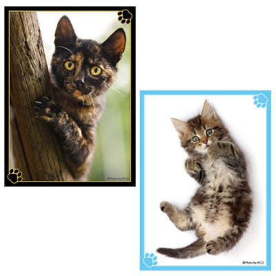 ブロッコリートレカアイテムくじEX「猫これくしょん」 1ユニット（86本