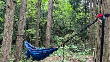 森の中 “わたしスペース” でふわり＆ゆらゆら「モンベル・フィールド