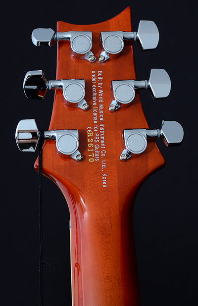 Paul Reed Smith SE Custom 24 Zebrawood