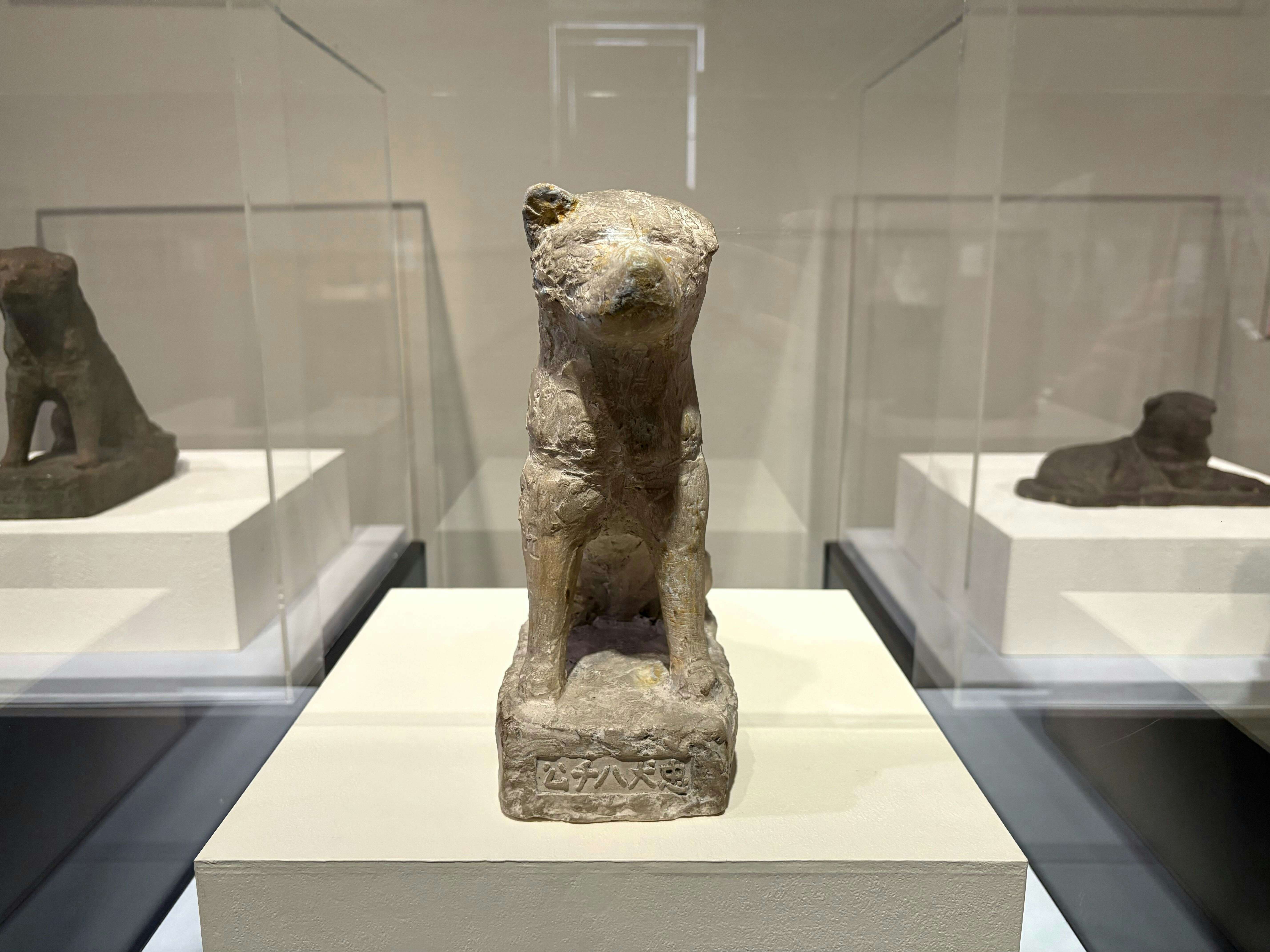 1750407792062_04733d2521f9ad05