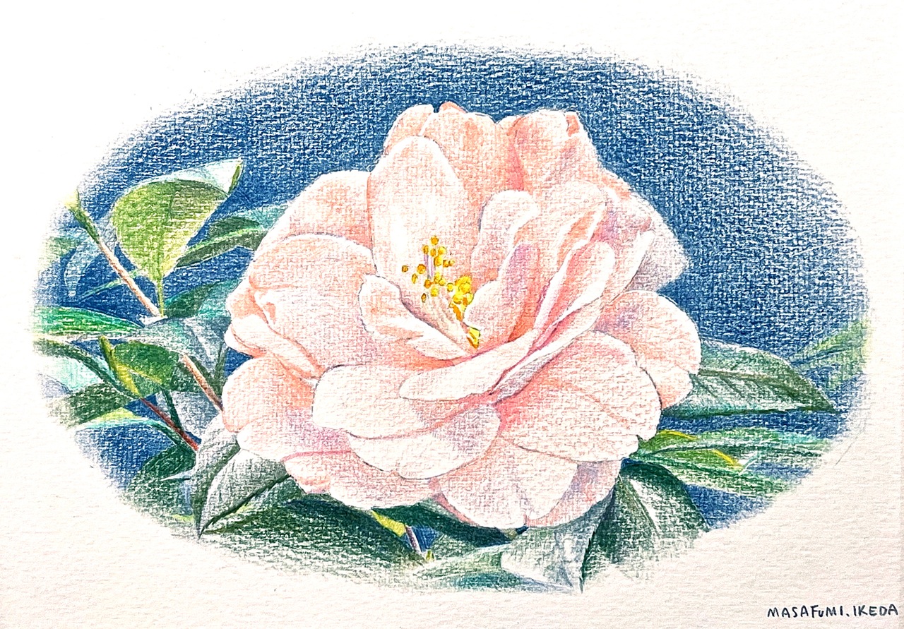 大阪・奈良・四日市の総合カルチャーセンター 近鉄文化サロン誰でも