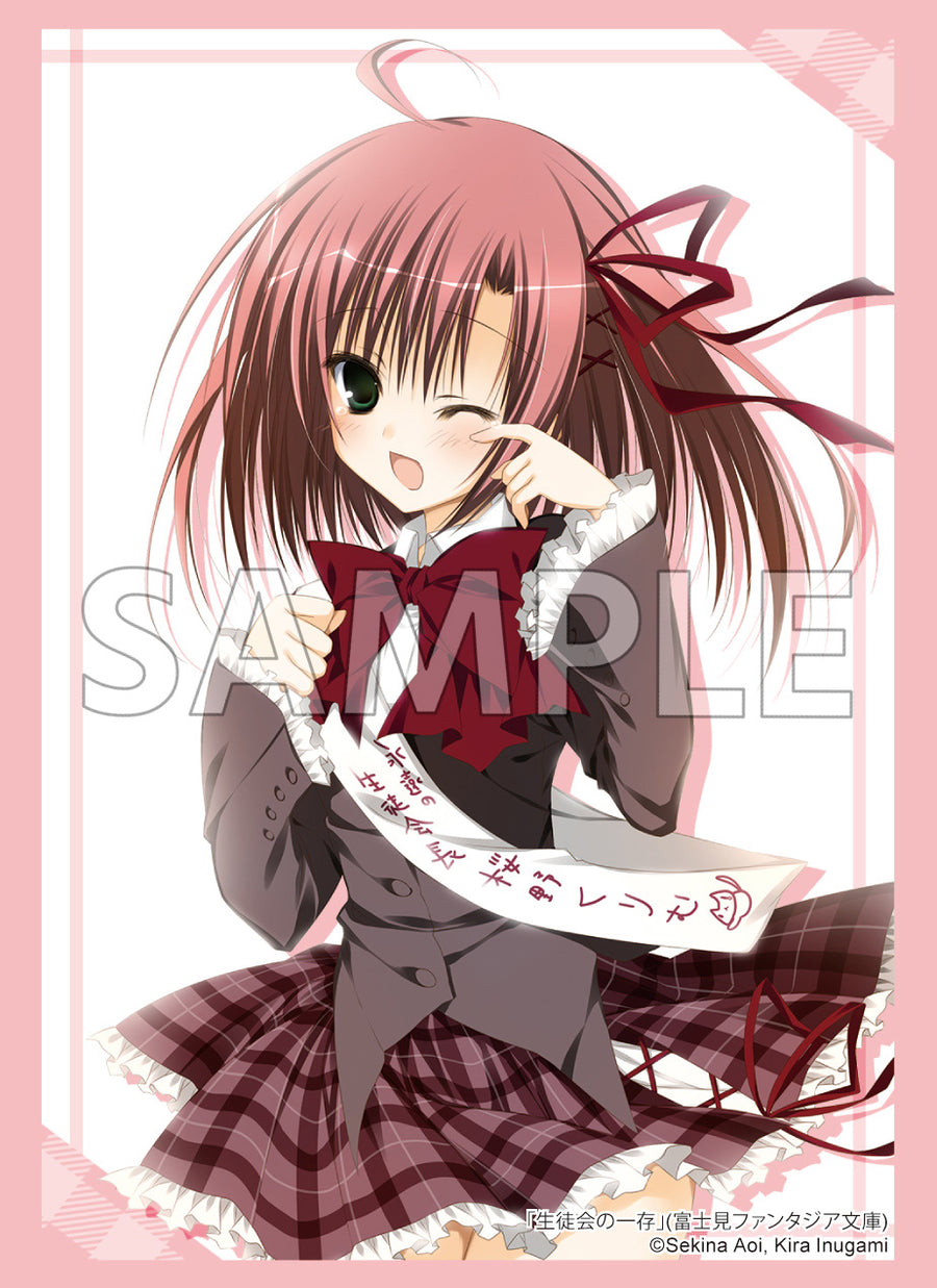 FUJIMIfantasia_2024__sleeve29_