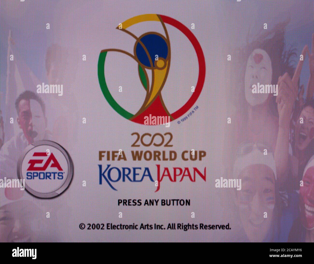 2002 FIFA WORLD CUP KOREA/JAPAN 記念フレーム $_57.JPG?set_id