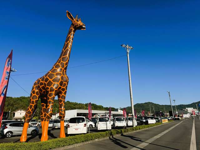 カーランドサファリ RCC中古車展示場MEGA 西条店 | 中古車なら