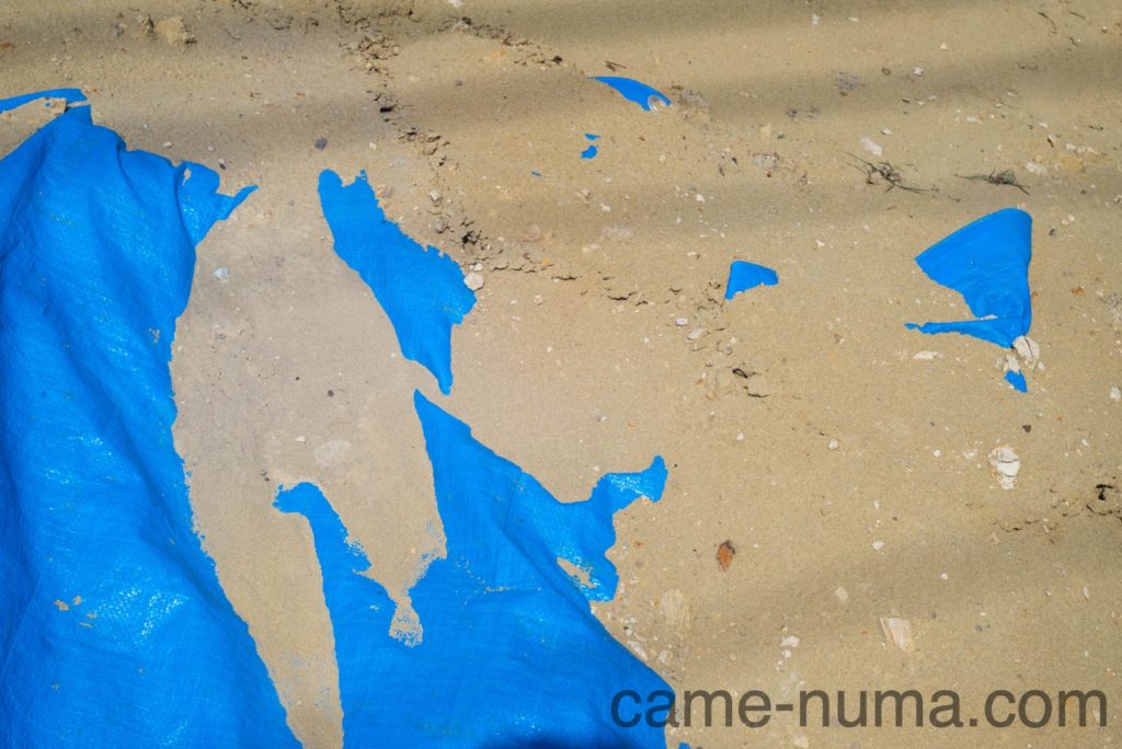 引き伸ばしレンズ使ってみた「Hexar 75mm F4.5」 | カメヌマ