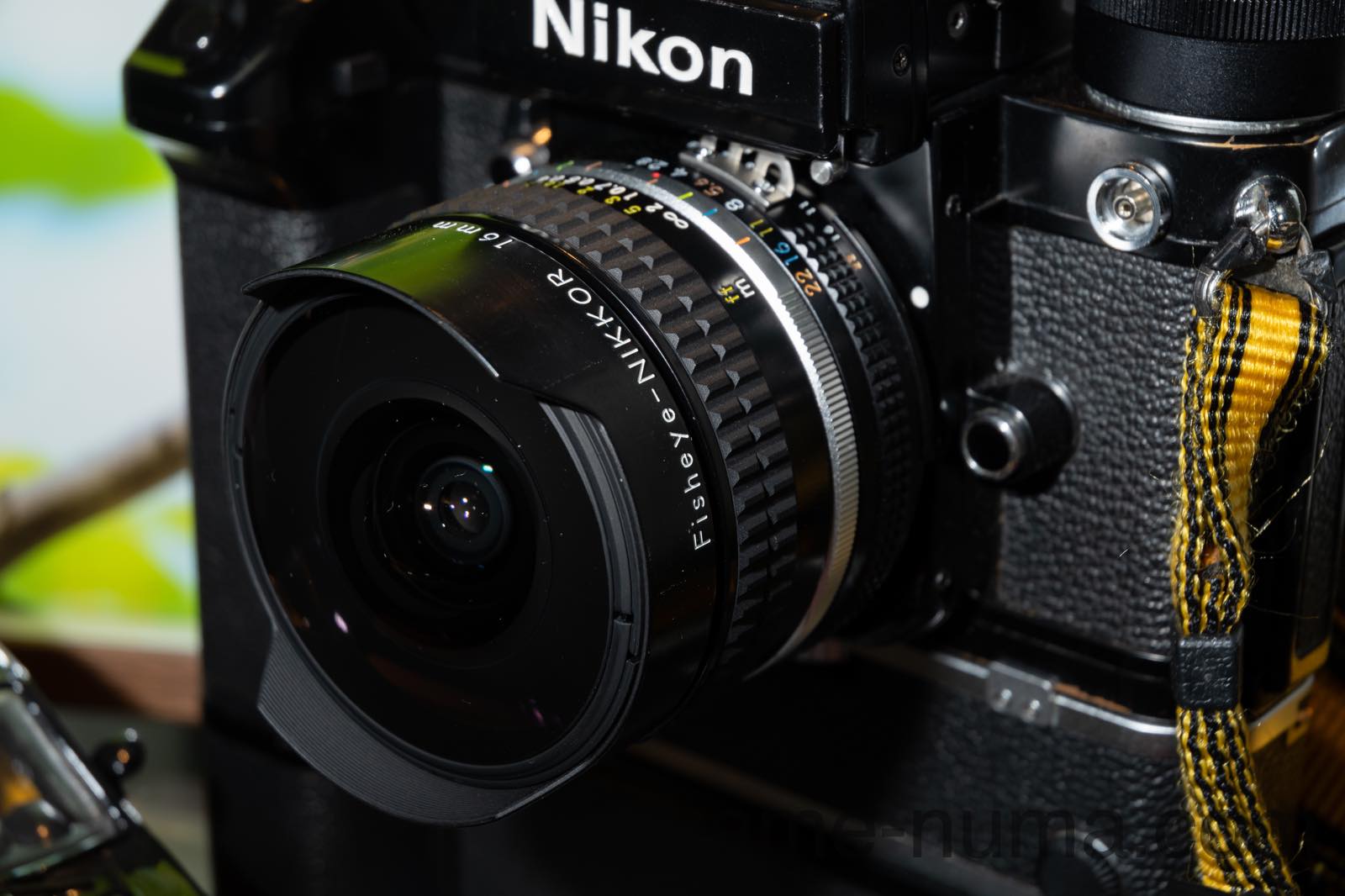 Nikon Ai Fisheye NIKKOR 16mm f/2.8 小柄でスーパーワイドな隠れ銘玉