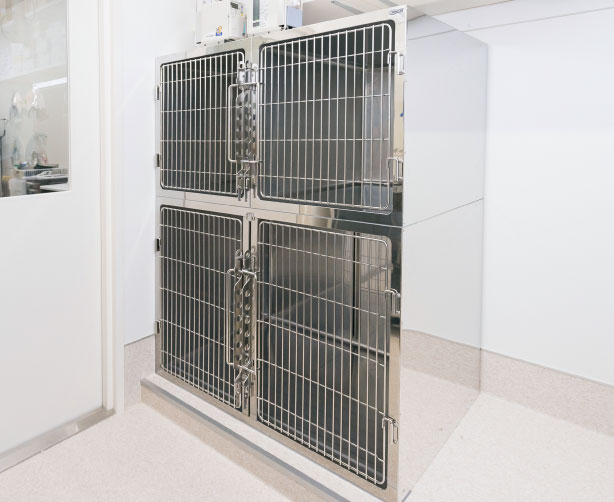 江戸川区葛西の動物病院｜クロス動物医療センター葛西