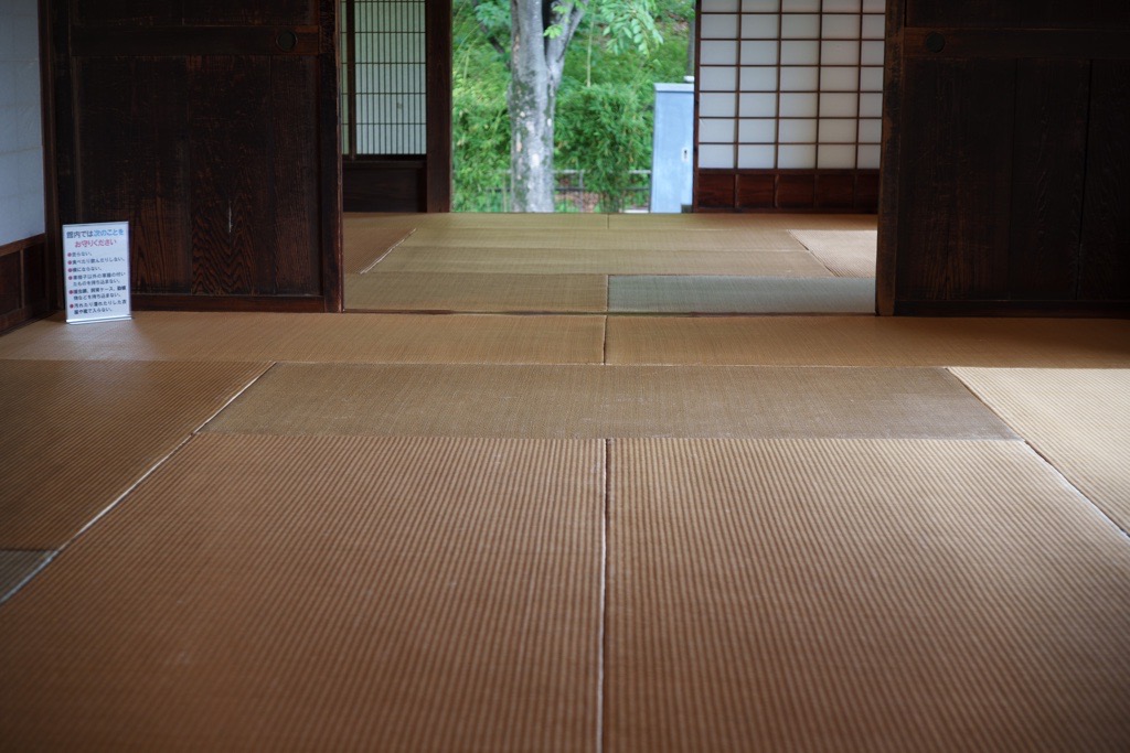 Leica Summicron 50mm f2 （沈胴ズミクロン、山崎磨き）（レビュー