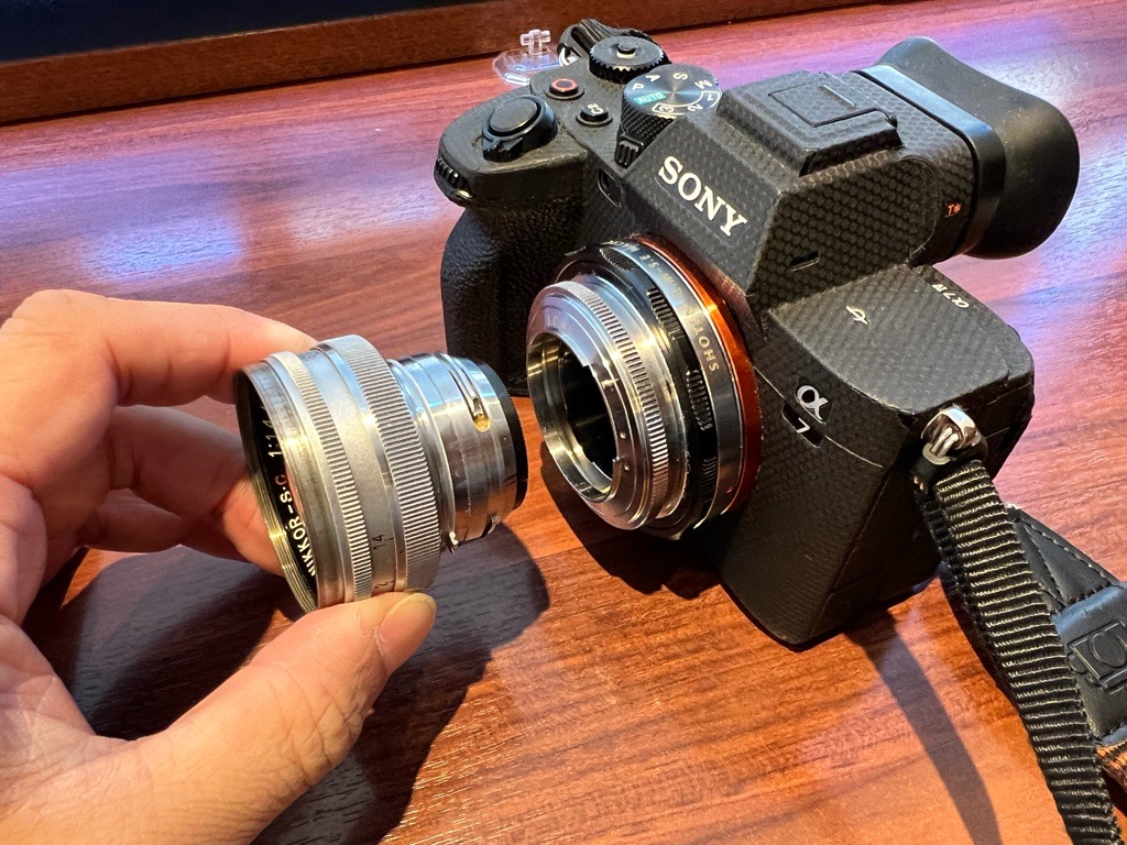 Sマウント沼へ、NIKKOR-S.C (S) 50mm F1.4（レビュー＆作例） - くらら