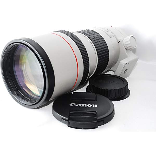Canon EF300mm F4L USM ブログ・機材情報、なんでもまとめ | かめらと