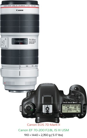 Canon 7D MII Camera and Canon 24-105mm F4L IS II Lens