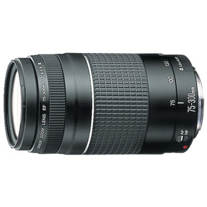 Canon EF 75-300mm f4.0-5.6 III vs Canon EF 50mm f1.8 II Detailed