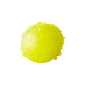 新作]Let's Shine！みんなで晴れやか気分「レッツ！シャインマスカット