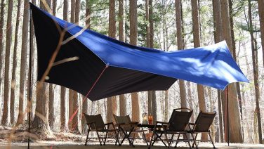 234651431_514087089680309_3886