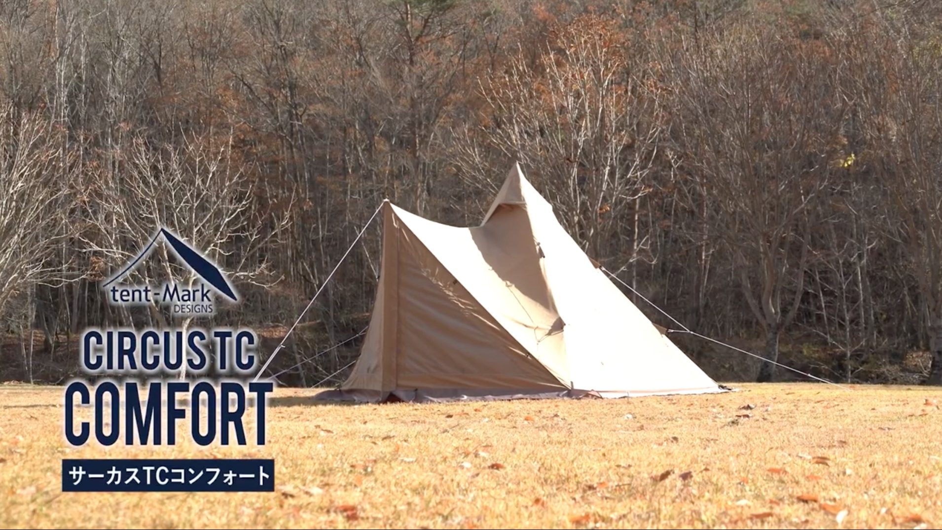 サーカスTC ソロ専用モデル「サーカスTC コンフォート ソロ」登場