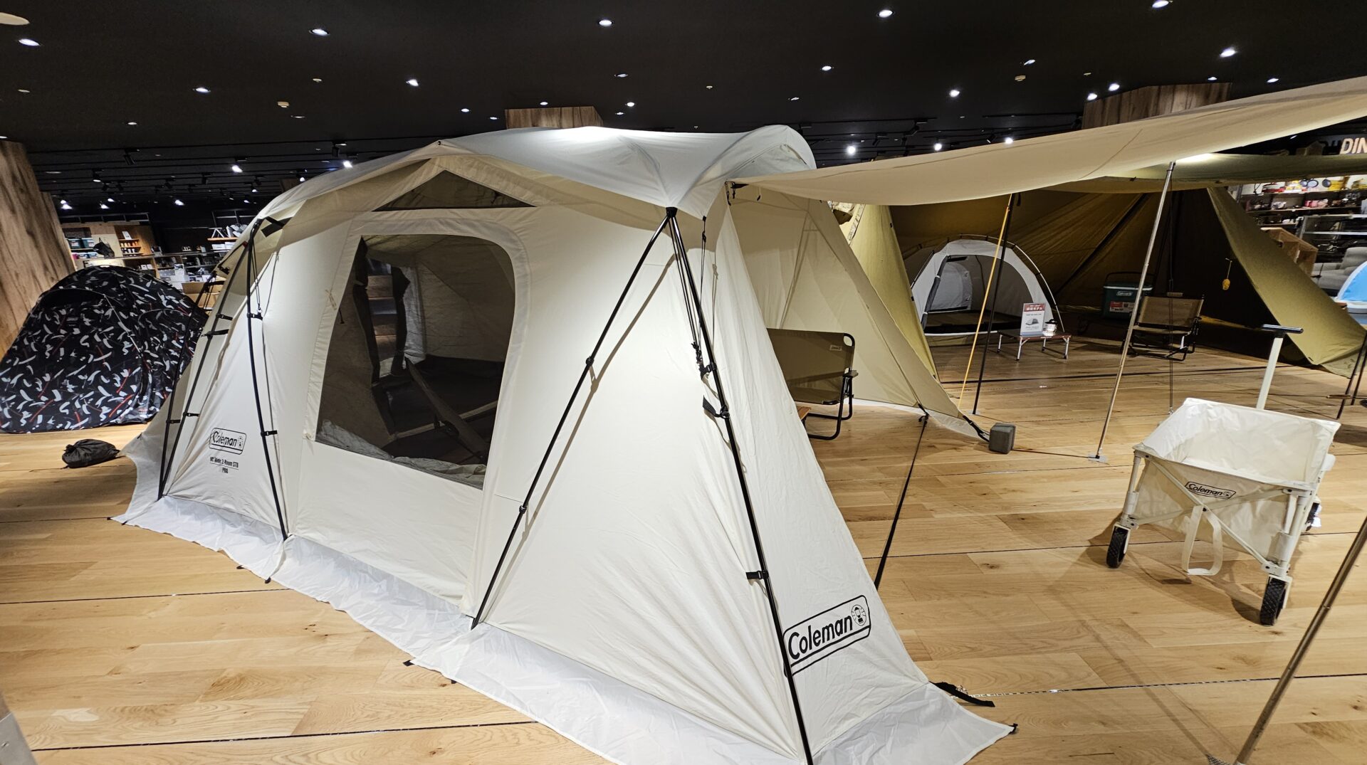 コールマン×アルペンアウトドアーズ 2023限定モデル「デザートサンド