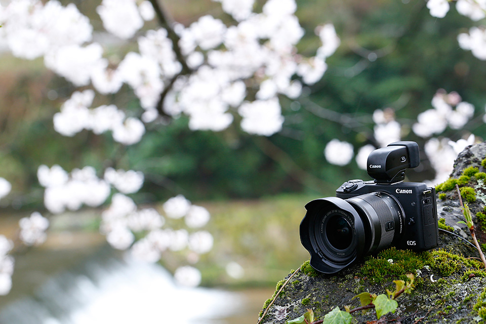 EOS M3と巡る旅「鳥取」柄木 孝志 | EOS × 東京カメラ部 | EOS M3