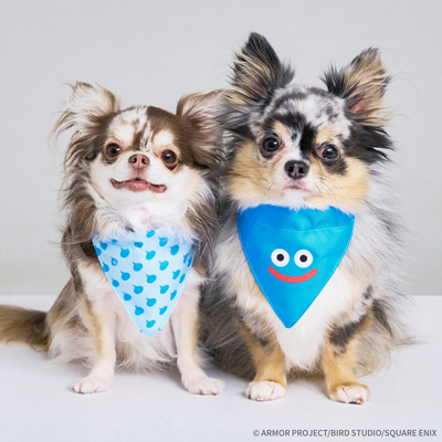 スクウェア・エニックスのペットグッズブランド「SQEX PETs」が誕生