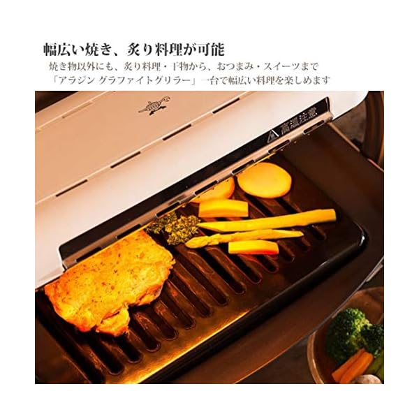 ヤマダモール | Aladdin (アラジン) グラファイト グリラー ホット