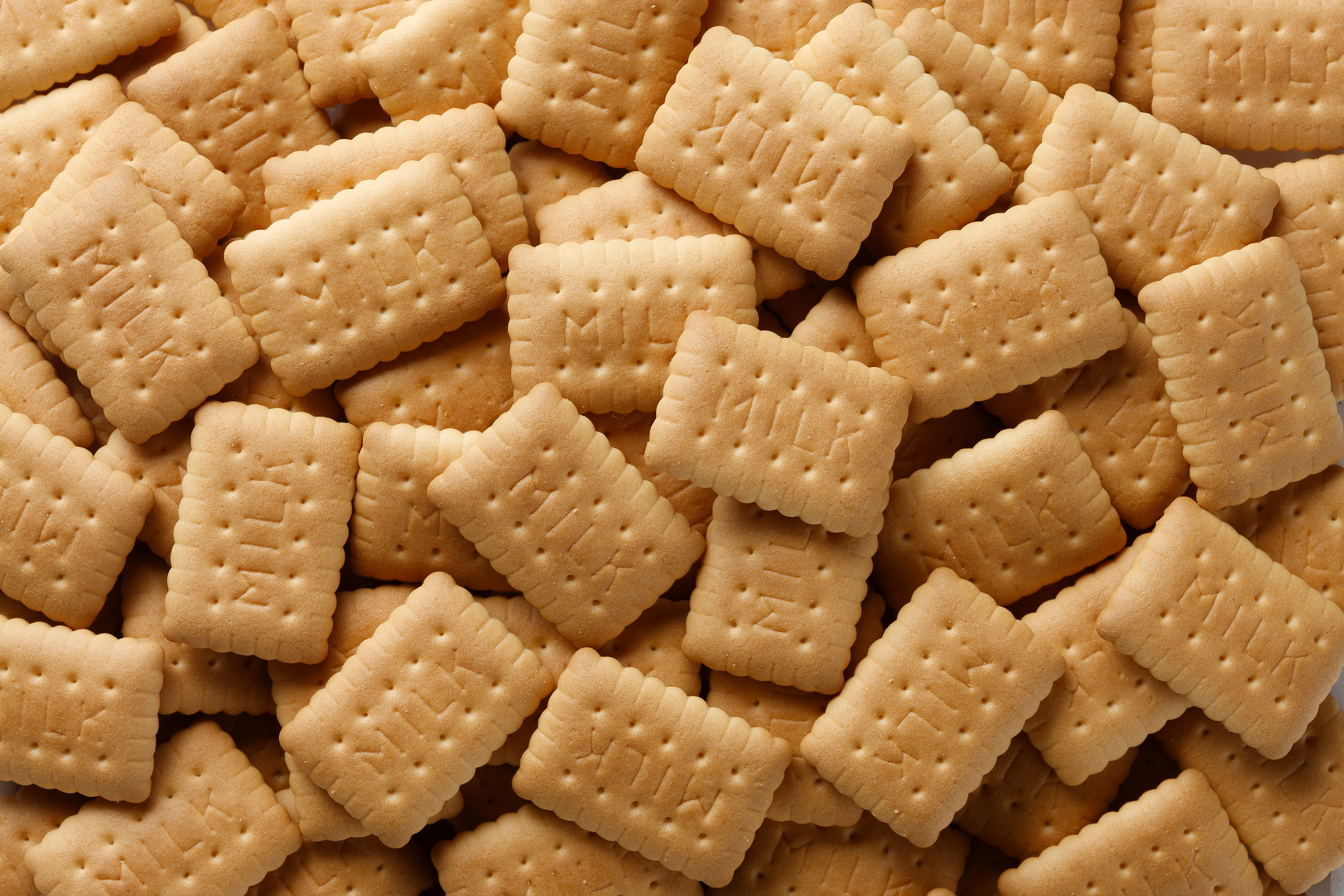 cafe-biscuit / 梶谷のビスケットクラフト袋入ミルクビスケット