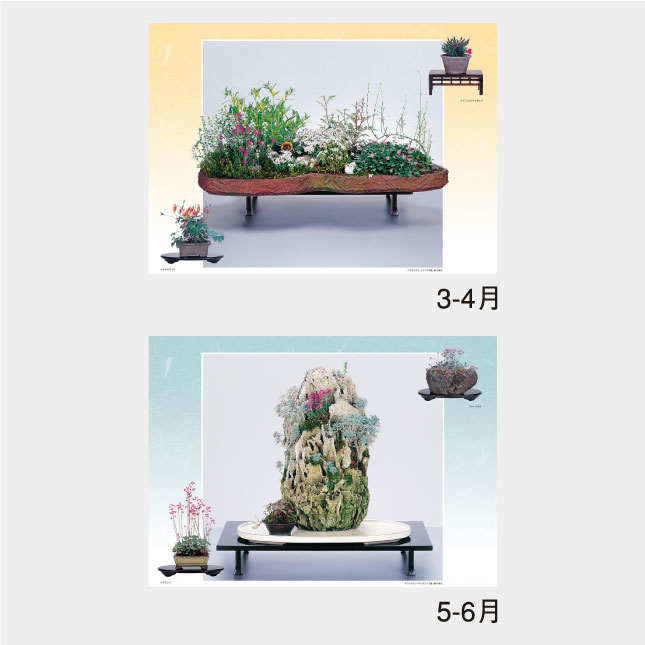 NK-46 野の花・山の花(山野草盆栽集) | 名入れカレンダー2027年 印刷