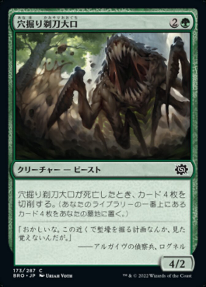 バロウゴイフ 4枚 mtg バロウゴイフ4枚 MTG】バロウゴイフ 4枚セット