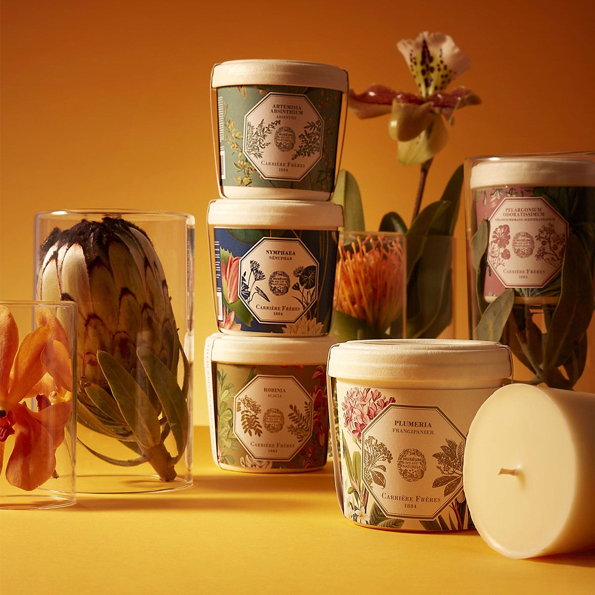 Carrière Frères - Refill for Scented Candles - Frangipani