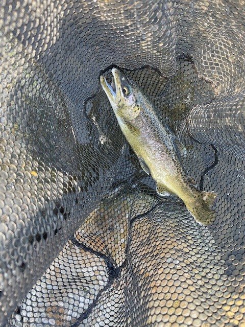 ムカイ トラウトロッド AIRSTICK ZERO エアースティックゼロ ASZ