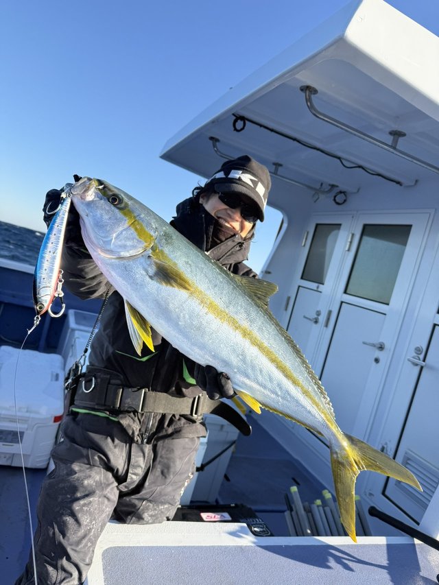 ヒラマサ・ブリ - 魚種からコンテンツを探す [釣具のキャスティング]