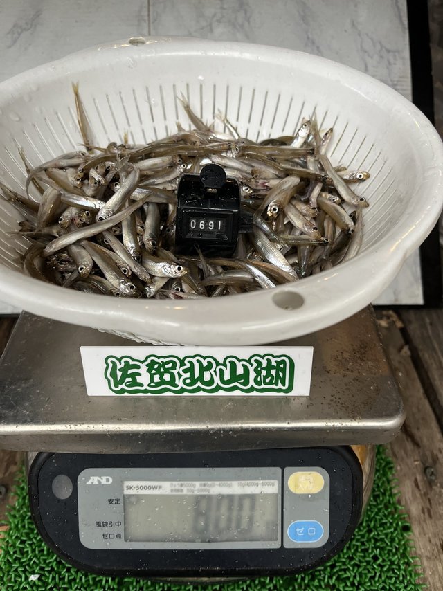 バリバス ワカサギ竿 ワカサギ穂先 Racing MAX 321WRX: 竿｜釣具の通販