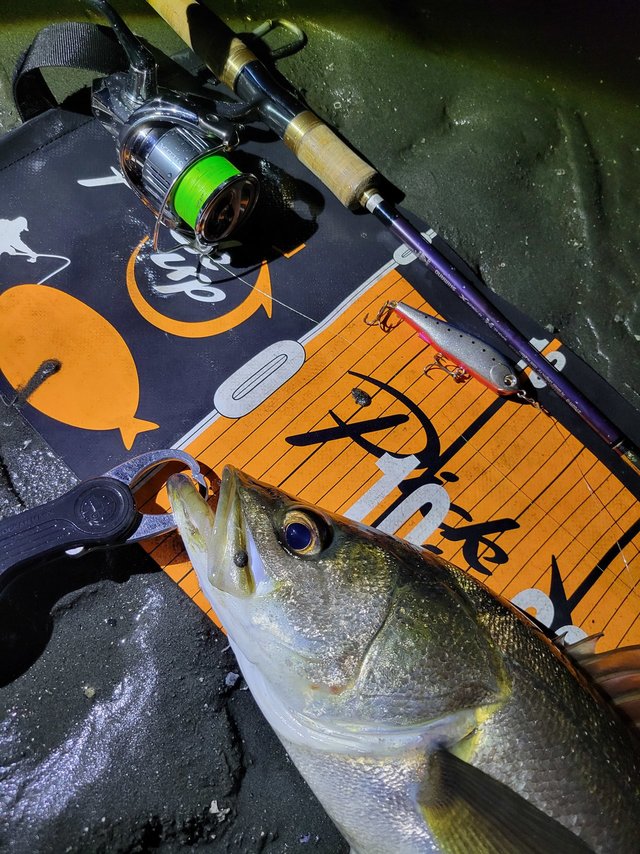 シマノ スピニングリール 22ステラ C3000XG: リール｜釣具の通販なら