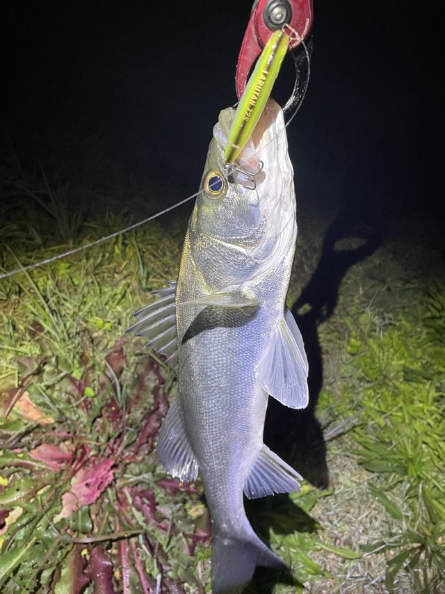 ダイワ ラブラックス AGS 100M・N 2021モデル (スピニング2ピース