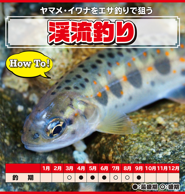 ヤマメ・イワナ】渓流釣り - HOW TO [釣具のキャスティング]