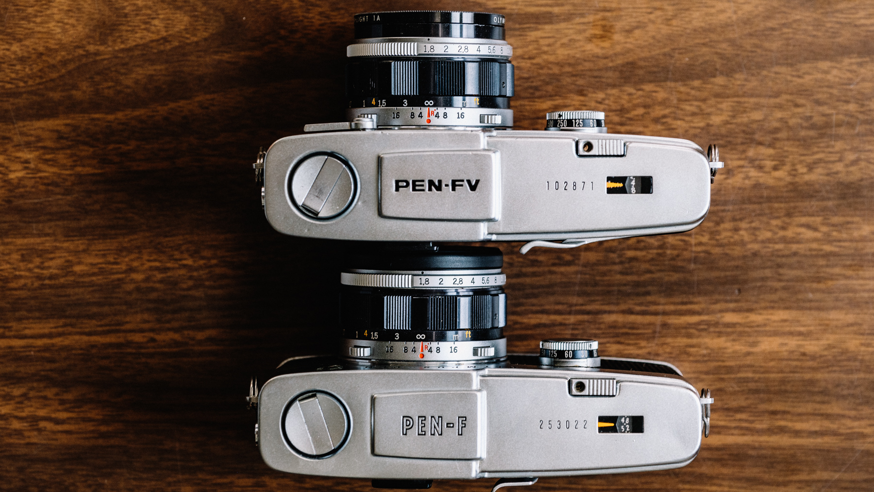 The Olympus Pen F as a More Methodical Point and Shoot Alternative