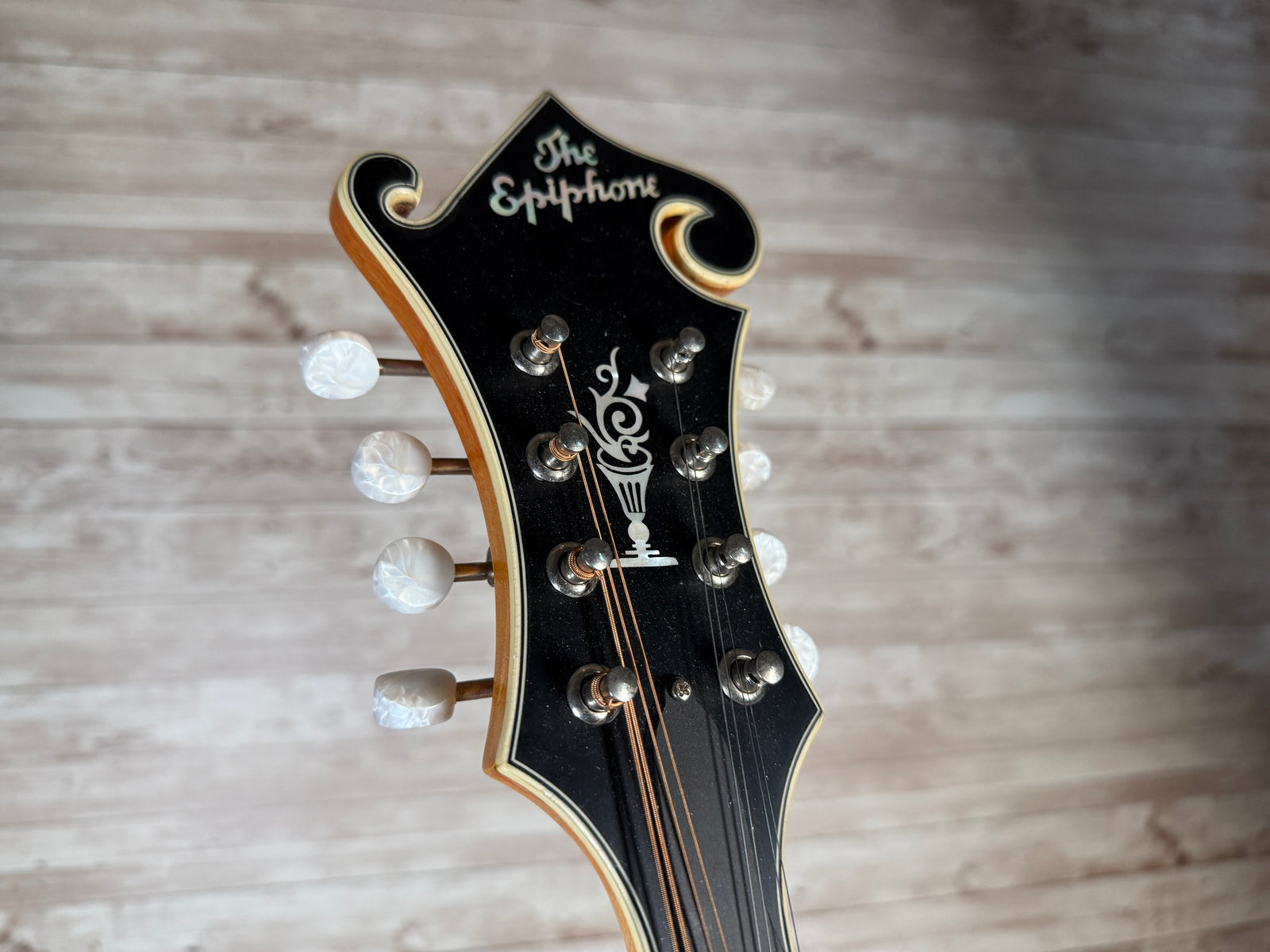 Epiphone MM-50E F-Style Mandolin Used Toronto, ON | Cask Music
