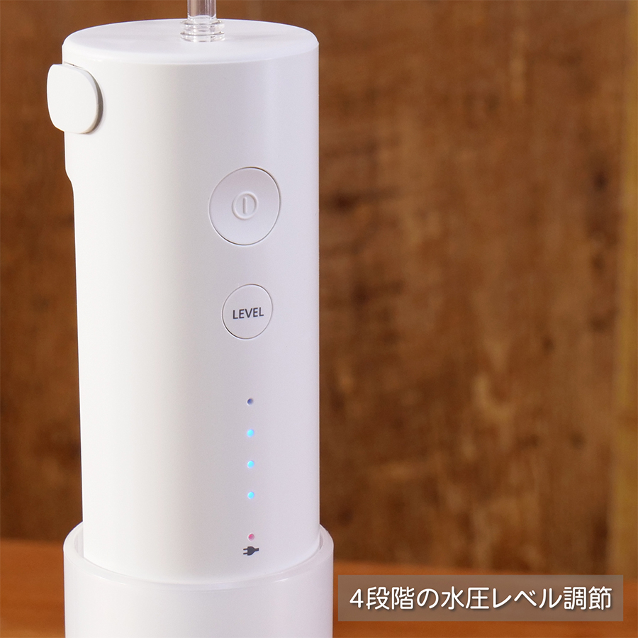 パナソニック 口腔洗浄器 ジェットウォッシャー ドルツ ポータブル