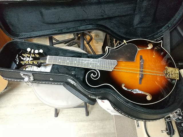 Aria AM-40 Mandolin マイク搭載!! アンプに繋げる アリア マンドリン