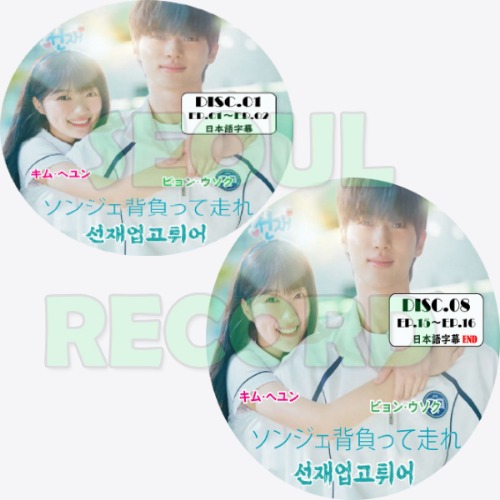 韓国ドラマ］ピョン・ウソク「ソンジェ背負って走れ」8枚組完結 (日本