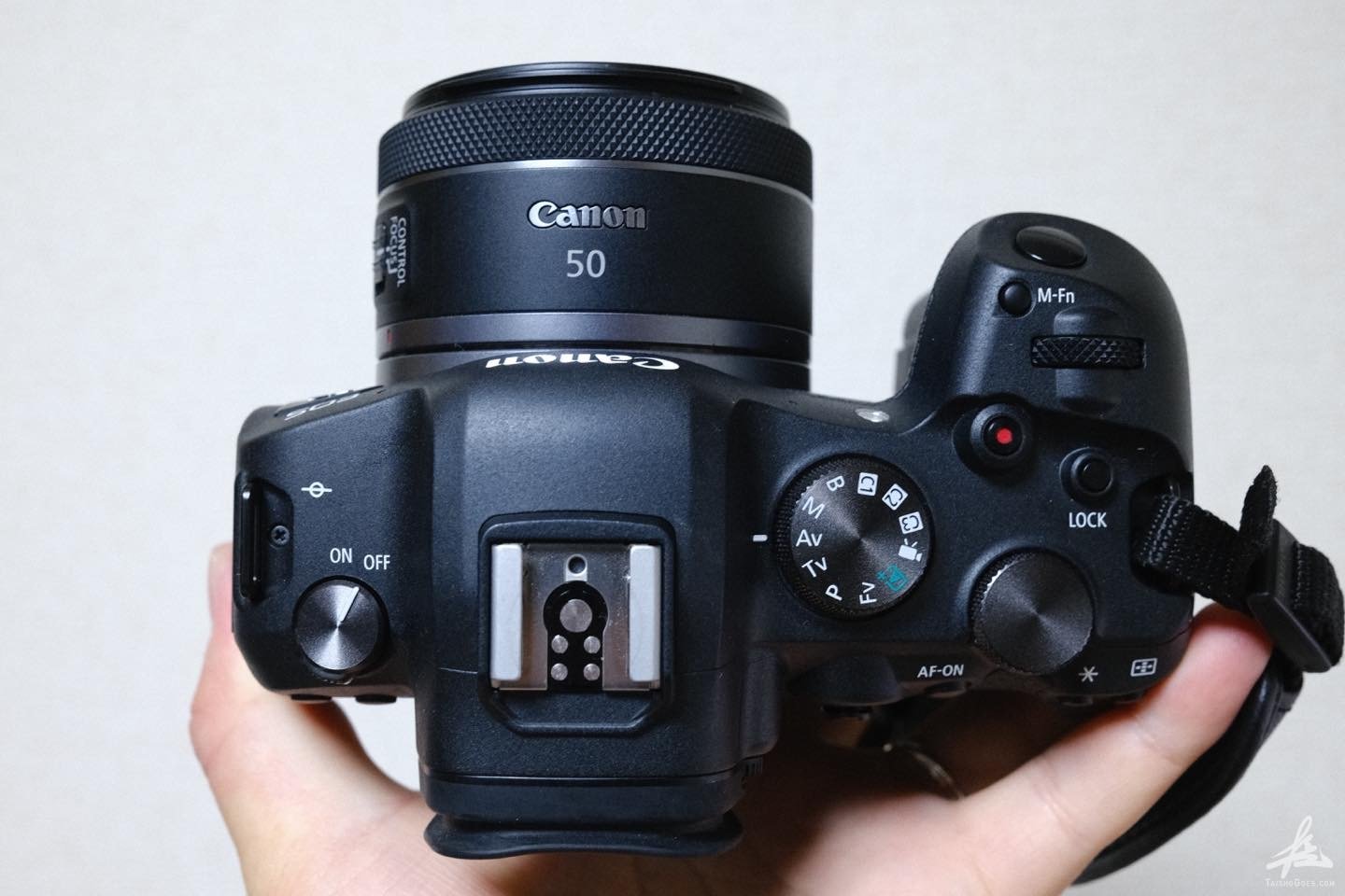 軽量コンパクトでよく写るレンズ｜キヤノン RF50mm F1.8 STM - 大将がゆく