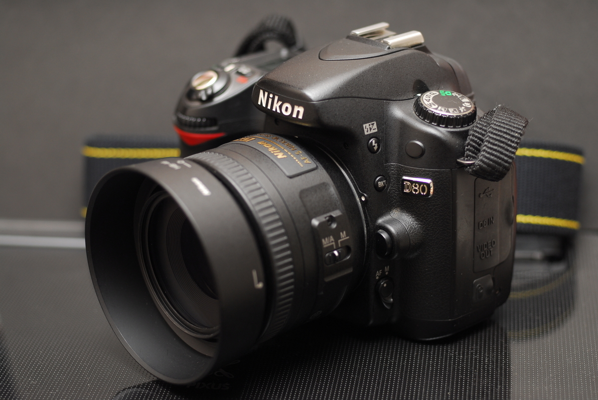 使用雑感：AF-S DX NIKKOR 35mm 1:1.8G （CCD機と共に） - リトルニコ