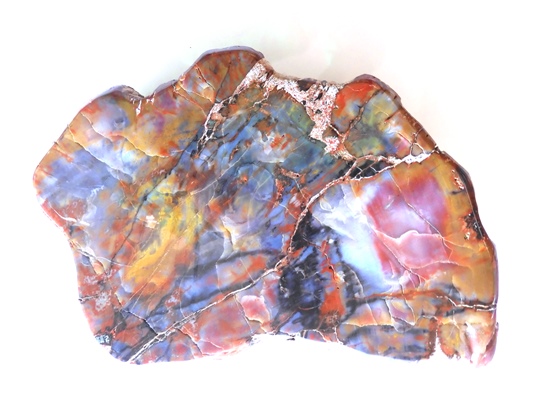 珪化木 - Ushidama Farm